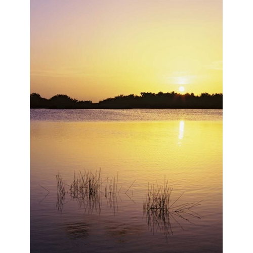 Florida, Everglades NP Sunset reflection on lake